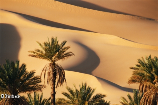 Algerie Grand Erg Occidental Algerie Grand Erg Occidental