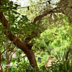 Jardin des Biehn Fs