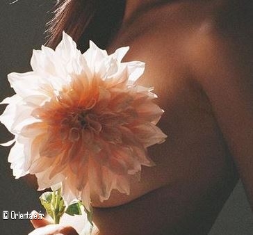 Emily Ratajkowski tient une fleur sur sa poitrine! Emily Ratajkowski tient une fleur sur sa poitrine!