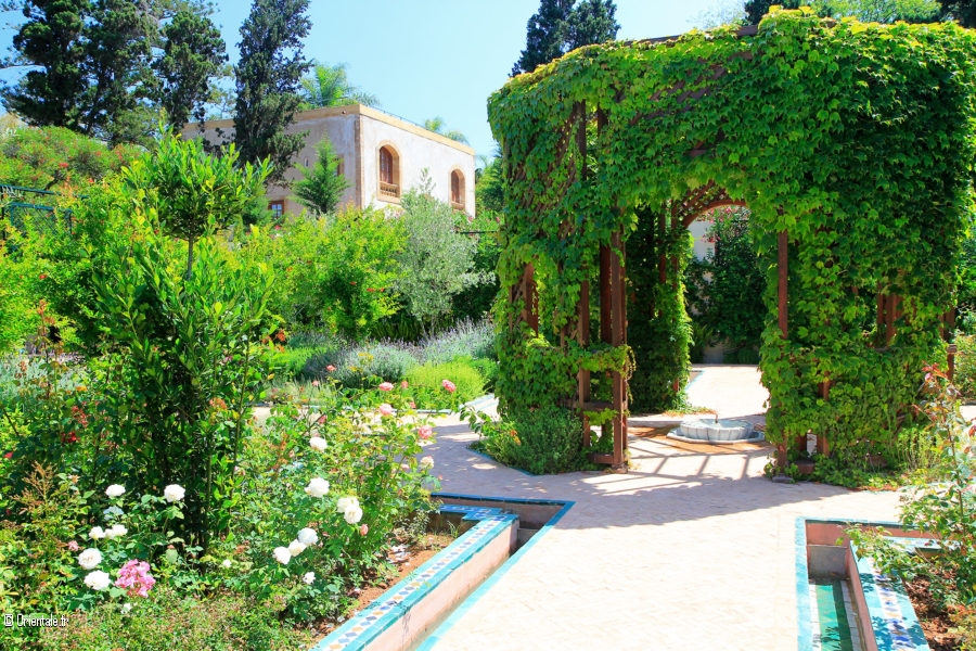 Jardin islamique de Fustat en Egypte, 2018 Jardin islamique de Fustat en Egypte, 2018