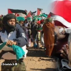 Militants Sahraouis - Militants Palestiniens : mme combat