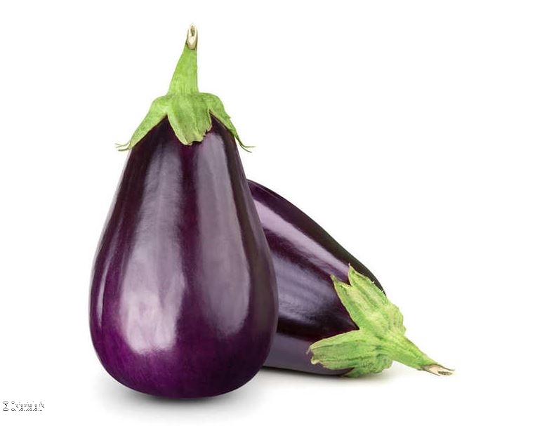 Aubergine, légume méditerranéen Aubergine, légume méditerranéen