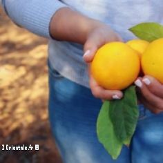 Une femme rurale tient des oranges