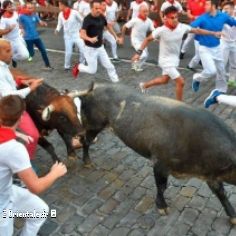Homme encorn en Espagne