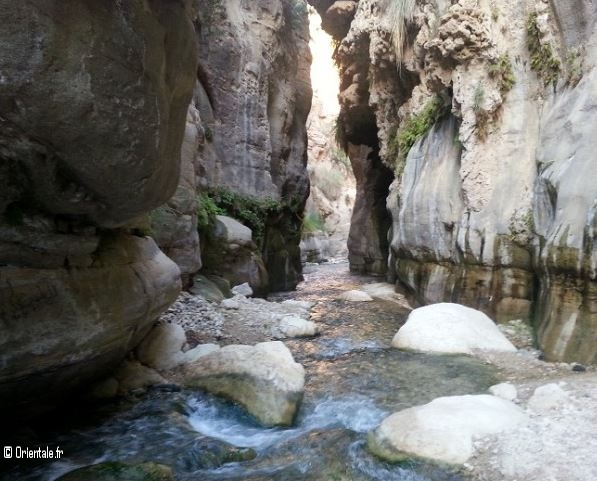 L'oued Karak, Jordanie L'oued Karak, Jordanie