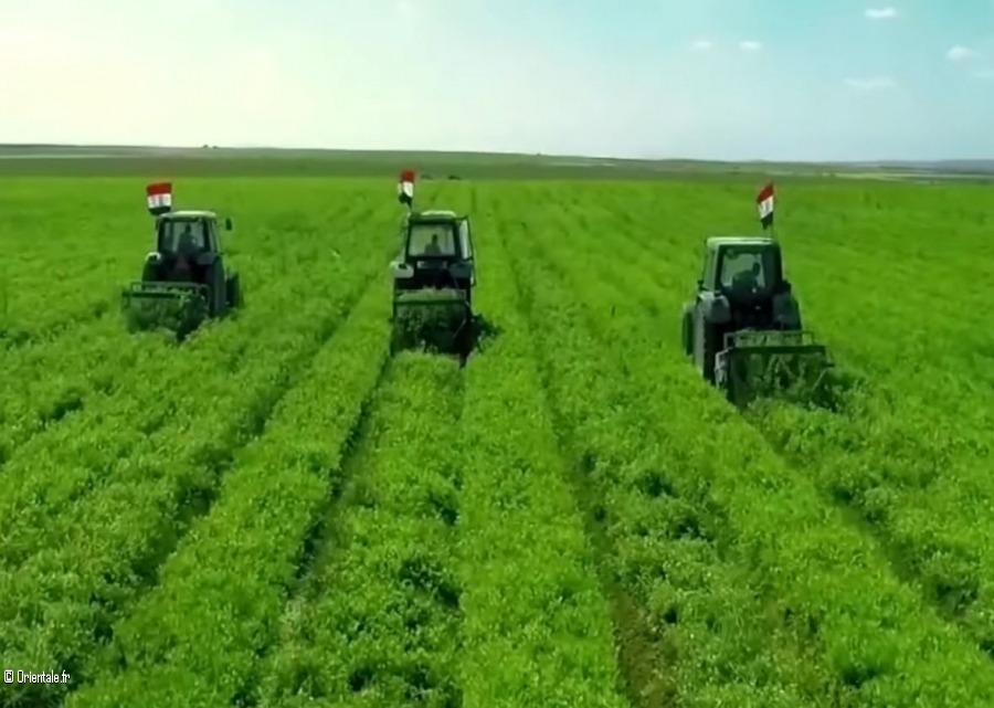 Le secteur agricole est parmi les trois secteurs qui ont le plus contribué au PIB Le secteur agricole est parmi les trois secteurs qui ont le plus contribué au PIB