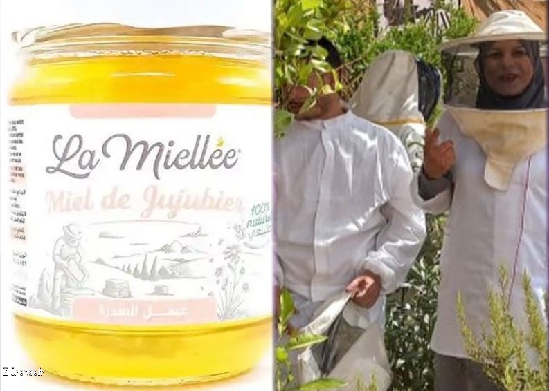 Zohra Boudjelida, apicultrice algérienne passionnée Zohra Boudjelida, apicultrice algérienne passionnée